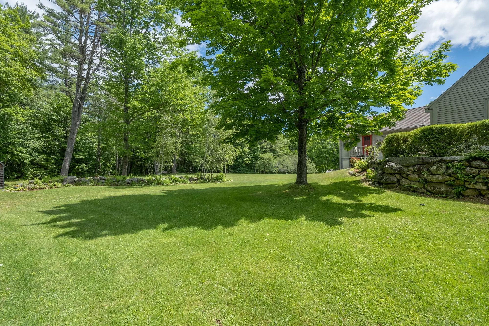 Shaded backyard lawn mowed under a large tree in Maplewood, MN