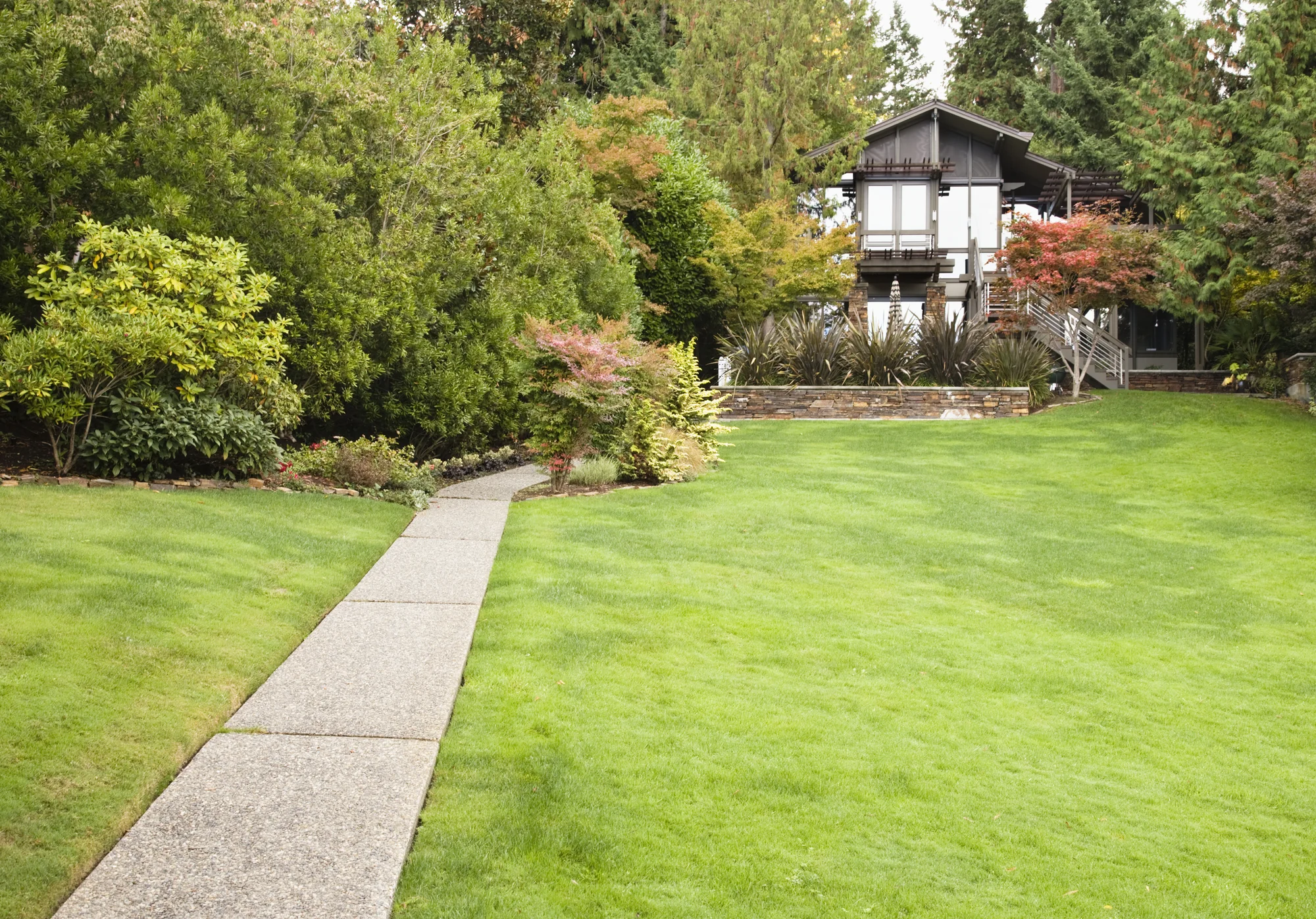 Healthy, manicured lawn beside a suburban home after core aeration in Woodbury, MN