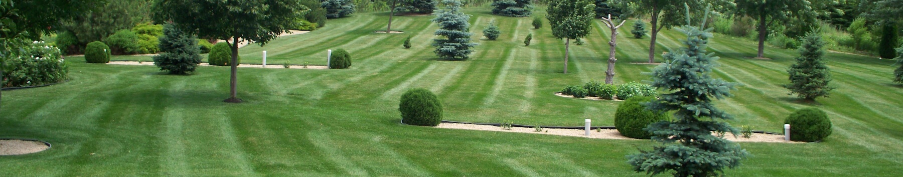 A fertilizer spreader on a green lawn