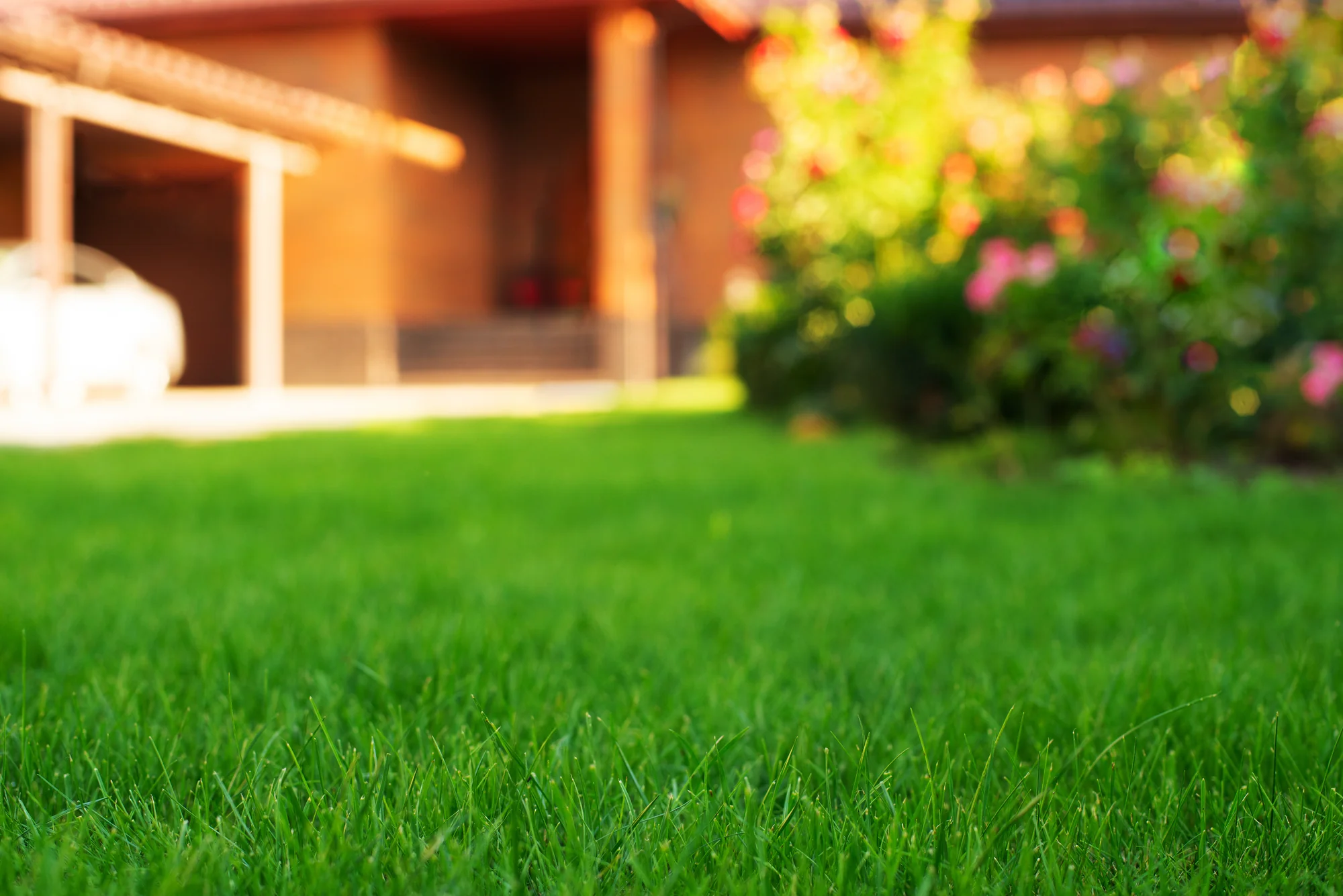 Freshly mowed front-yard lawn in a Woodbury, MN neighborhood