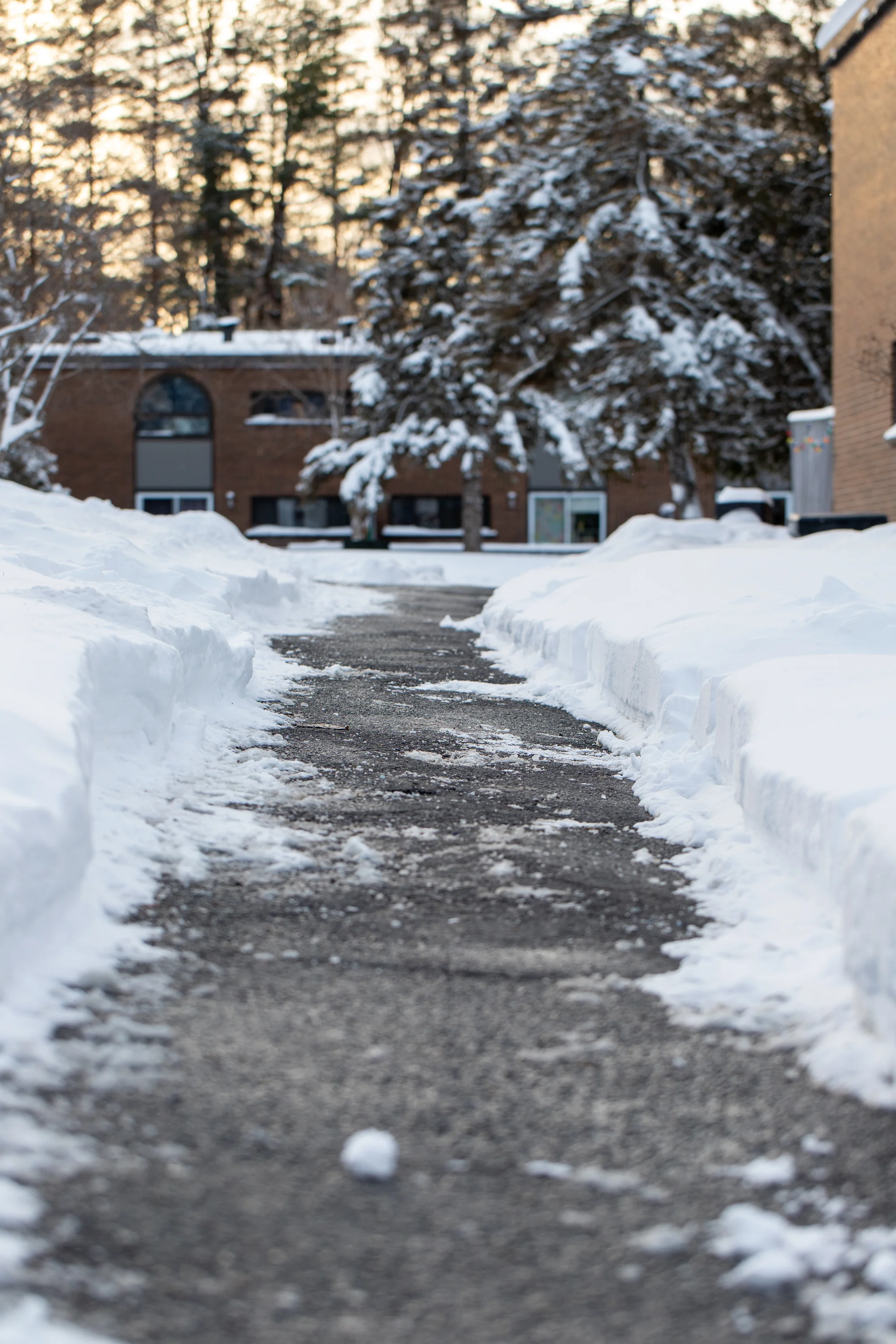 Cleared, salted sidewalk beside snowbanks in Woodbury, MN