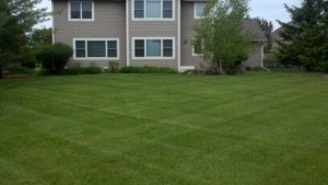 Lawn Mowing in Inver Grove Heights MN