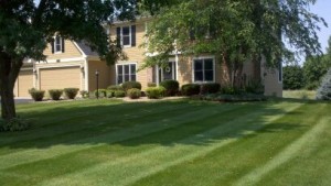 Lawn Mowing Lake Elmo, MN