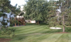 North St. Paul Lawn Mowing