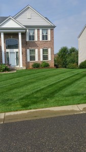 Lawn Mowing in Woodbury, MN